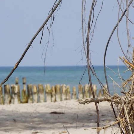 Friederike 2 Apartamento