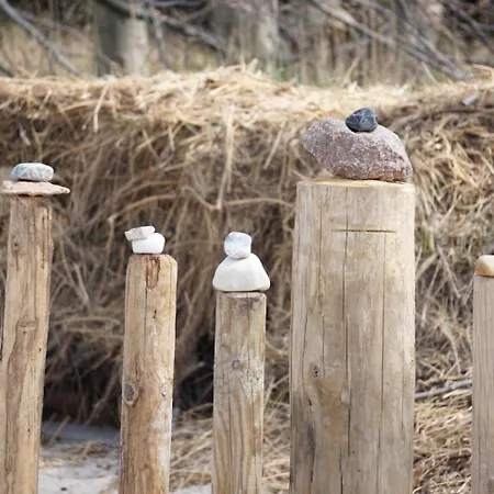 Apartamento Friederike 2 Ostseebad Nienhagen