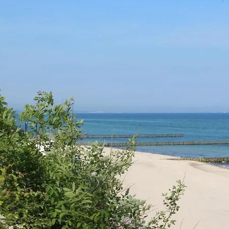 Friederike 2 *