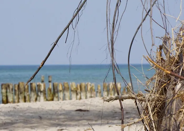 Friederike 2 Apartamento