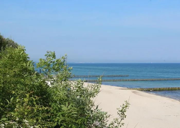 Friederike 2 *