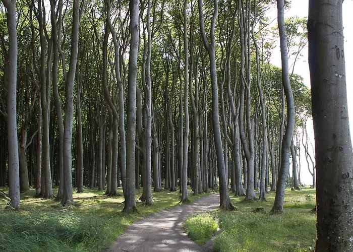 Apartamento Friederike 2